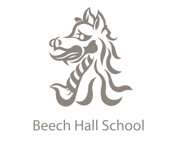 Website For Beech Hall School