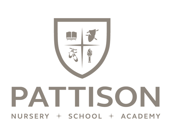 Website For Pattison School